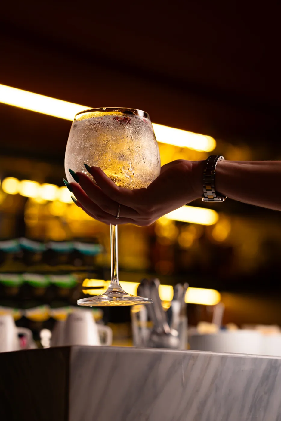Gin tônica em taça balão fotografado em bar
